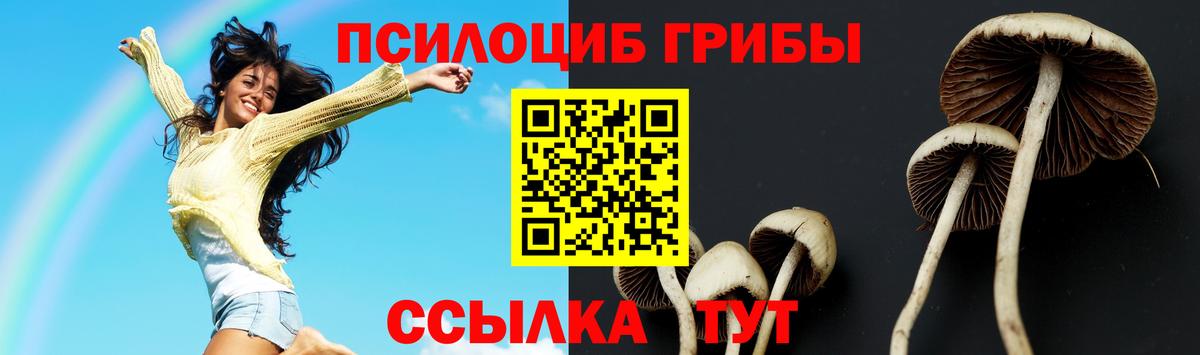 Псилоцибиновые грибы мухоморы Донецк